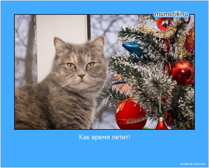Как время летит! Выйдешь на балкон соловьев послушать, возвращаешься в комнату — а там елка наряженная! #мотиватор