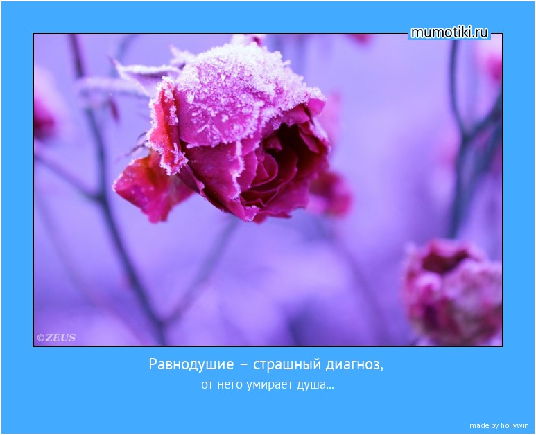 Равнодушие – страшный диагноз, от него умирает душа... #мотиватор