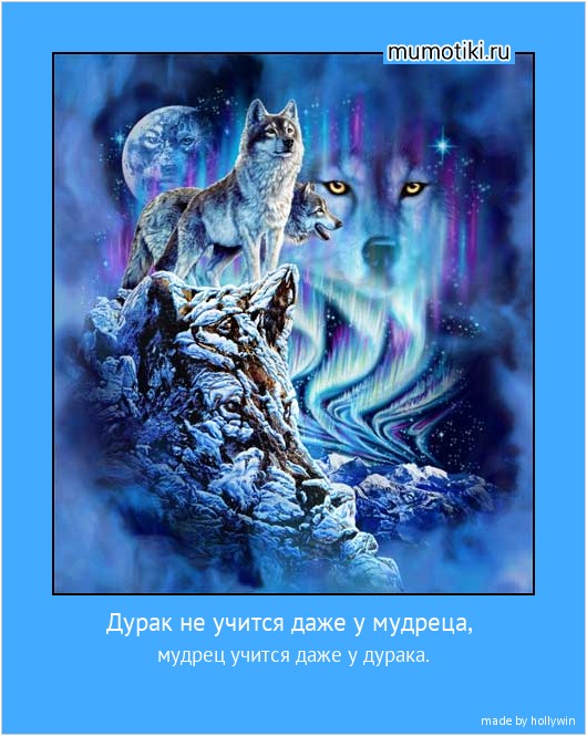 Дурак не учится даже у мудреца, мудрец учится даже у дурака. #мотиватор