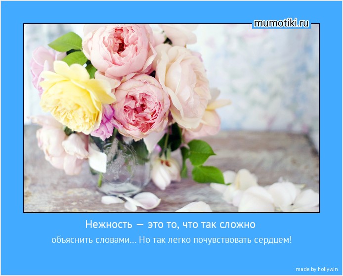 Нежность — это то, что так сложно объяснить словами… Но так легко почувствовать сердцем! #мотиватор