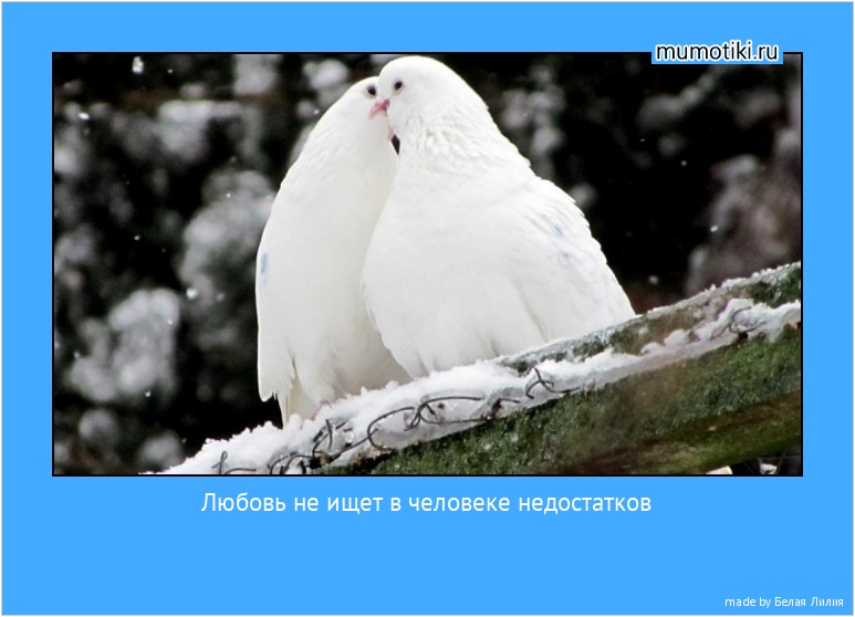 Любовь не ищет в человеке недостатков #мотиватор