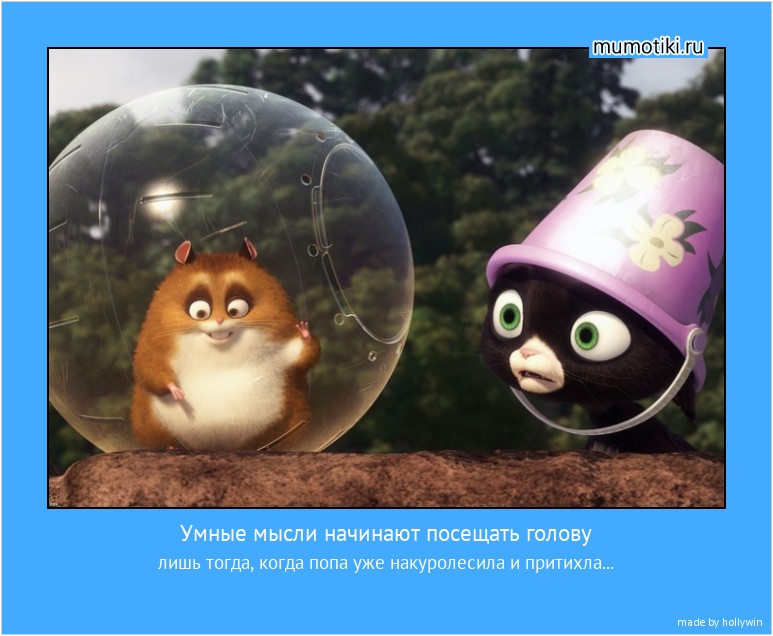 Умные мысли начинают посещать голову лишь тогда, когда попа уже накуролесила и притихла... #мотиватор