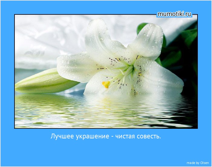 Лучшее украшение - чистая совесть. #мотиватор