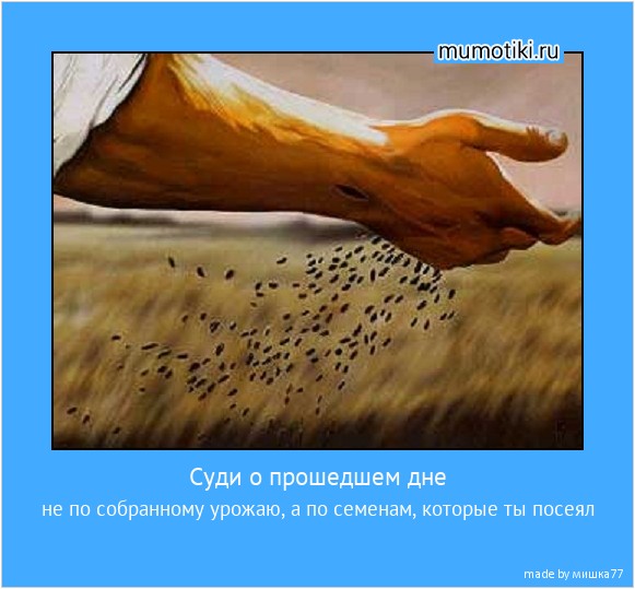 Суди о прошедшем дне не по собранному урожаю, а по семенам, которые ты посеял #мотиватор
