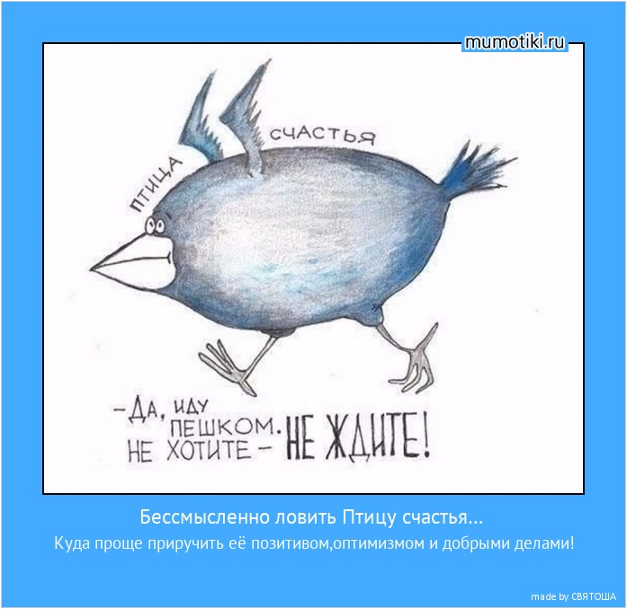 Бессмысленно ловить Птицу счастья… Куда проще приручить её позитивом,оптимизмом и добрыми делами! #мотиватор