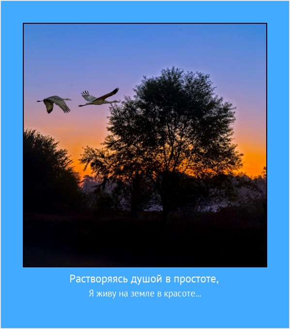 Растворяясь душой в простоте, Я живу на земле в красоте... #мотиватор