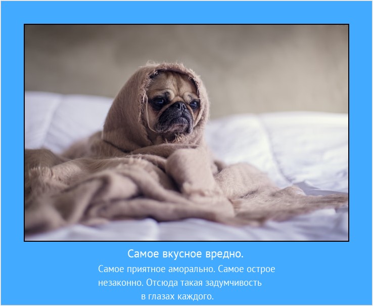 Самое вкусное вредно. Самое приятное аморально. Самое острое
незаконно. Отсюда такая задумчивость в глазах каждого. #мотиватор