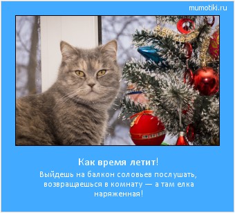 Как время летит! Выйдешь на балкон соловьев послушать, возвращаешься в комнату — а там елка наряженная! #мотиватор