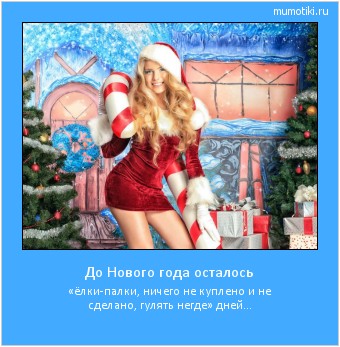 До Нового года осталось «ёлки-палки, ничего не куплено и не сделано, гулять негде» дней... #мотиватор
