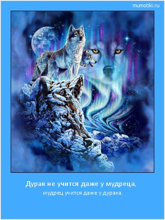 Дурак не учится даже у мудреца, мудрец учится даже у дурака. Cамые лучшие мотиваторы на mumotiki.ru Дурак не учится даже у мудреца, мудрец учится даже у дурака. #мотиватор