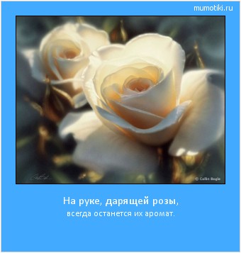 На руке, дарящей розы, всегда останется их аромат. Cамые лучшие мотиваторы на mumotiki.ru На руке, дарящей розы, всегда останется их аромат. #мотиватор