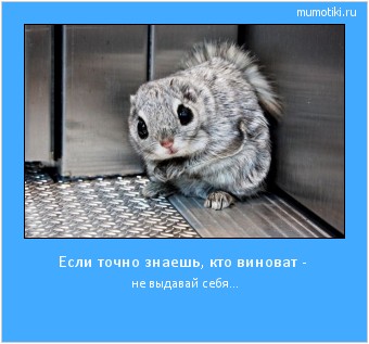 Если точно знаешь, кто виноват - не выдавай себя... Cамые лучшие мотиваторы на mumotiki.ru Если точно знаешь, кто виноват - не выдавай себя... #мотиватор