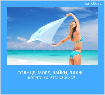 СОЛНЦЕ, МОРЕ, ЧАЙКИ, ПЛЯЖ — ВОТ,ЧТО ХОЧЕТСЯ СЕЙЧАС!!! #мотиватор