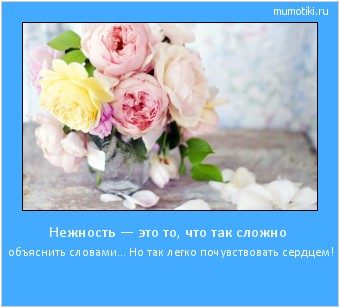 Нежность — это то, что так сложно объяснить словами… Но так легко почувствовать сердцем! #мотиватор