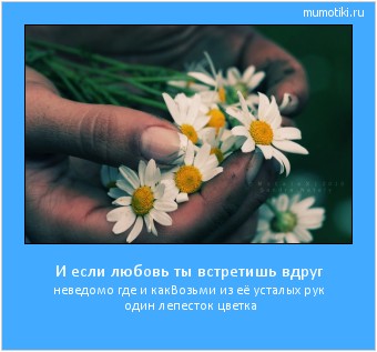 И если любовь ты встретишь вдруг неведомо где и как
Возьми из её усталых рук один лепесток цветка #мотиватор