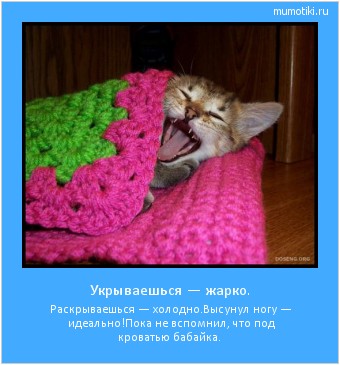 Укрываешься — жарко. Раскрываешься — холодно.
Высунул ногу — идеально!
Пока не вспомнил, что под кроватью бабайка. Cамые лучшие мотиваторы на mumotiki.ru Укрываешься — жарко. Раскрываешься — холодно.
Высунул ногу — идеально!
Пока не вспомнил, что под кроватью бабайка. #мотиватор
