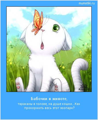 Бабочки в животе, тараканы в голове, на душе кошки...
Как прокормить весь этот зоопарк? #мотиватор