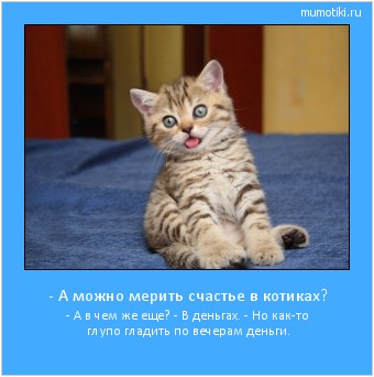 - А можно мерить счастье в котиках? - А в чем же еще?
- В деньгах.
- Но как-то глупо гладить по вечерам деньги. #мотиватор
