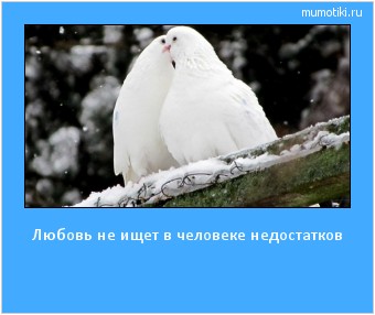 Любовь не ищет в человеке недостатков #мотиватор