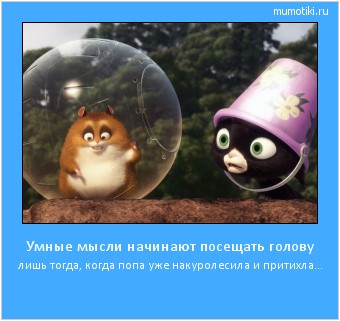 Умные мысли начинают посещать голову лишь тогда, когда попа уже накуролесила и притихла... #мотиватор