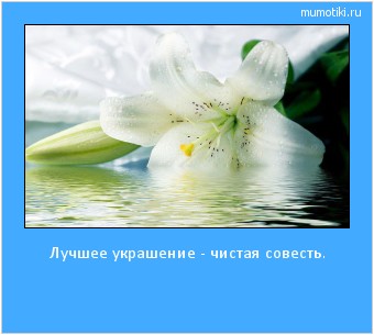 Лучшее украшение - чистая совесть. Cамые лучшие мотиваторы на mumotiki.ru Лучшее украшение - чистая совесть. #мотиватор