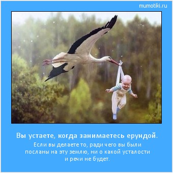 Вы устаете, когда занимаетесь ерундой. Если вы делаете то, ради чего вы были посланы на эту землю, ни о какой усталости и речи не будет. Cамые лучшие мотиваторы на mumotiki.ru Вы устаете, когда занимаетесь ерундой. Если вы делаете то, ради чего вы были посланы на эту землю, ни о какой усталости и речи не будет. #мотиватор