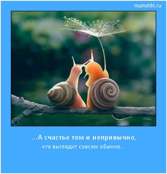 ...А счастье тем и непривычно, что выглядит совсем обычно... #мотиватор