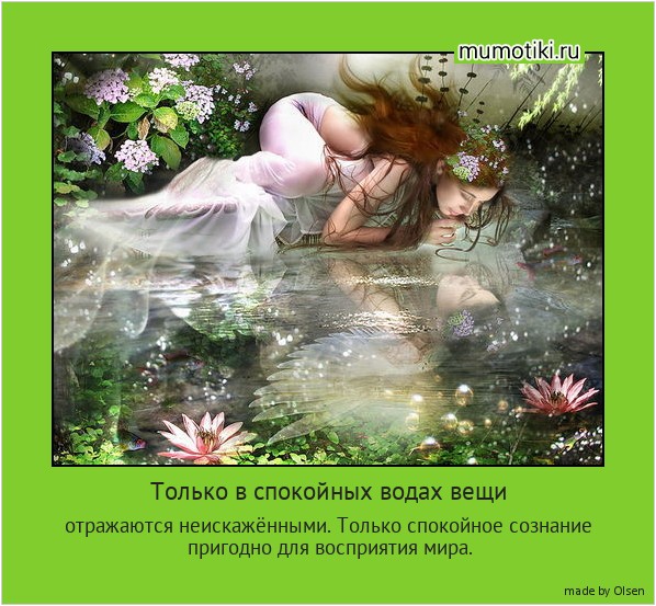 Только в спокойных водах вещи отражаются неискажёнными. Только спокойное сознание пригодно для восприятия мира. #мотиватор