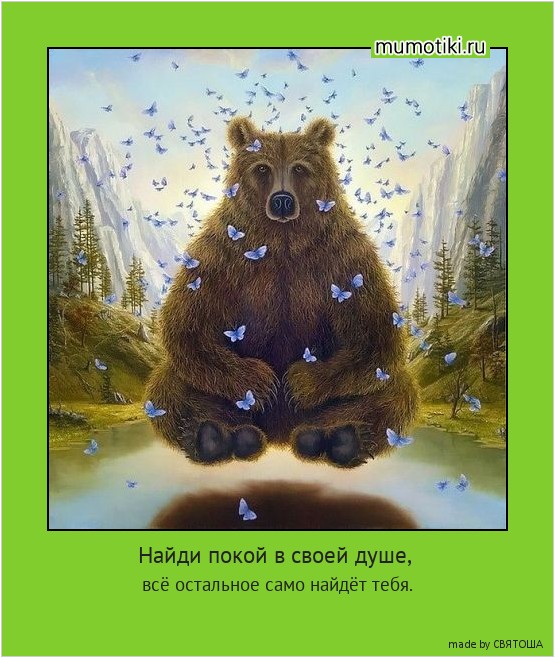 Найди покой в своей душе, всё остальное само найдёт тебя. #мотиватор