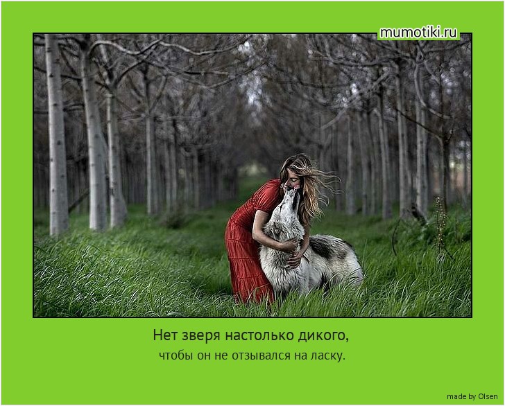 Нет зверя настолько дикого, чтобы он не отзывался на ласку. #мотиватор