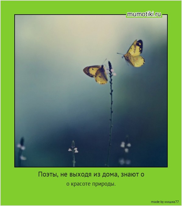 Поэты, не выходя из дома, знают о о красоте природы. #мотиватор