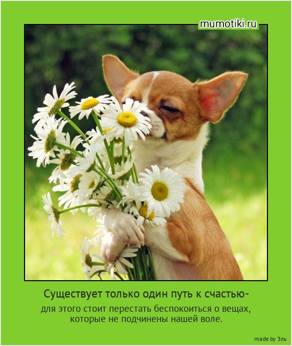 Существует только один путь к счастью- для этого стоит перестать беспокоиться о вещах,
которые не подчинены нашей воле. #мотиватор