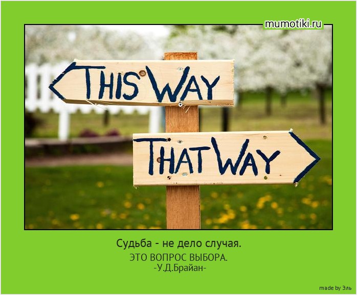 Судьба - не дело случая. ЭТО ВОПРОС ВЫБОРА. -У.Д.Брайан- #мотиватор
