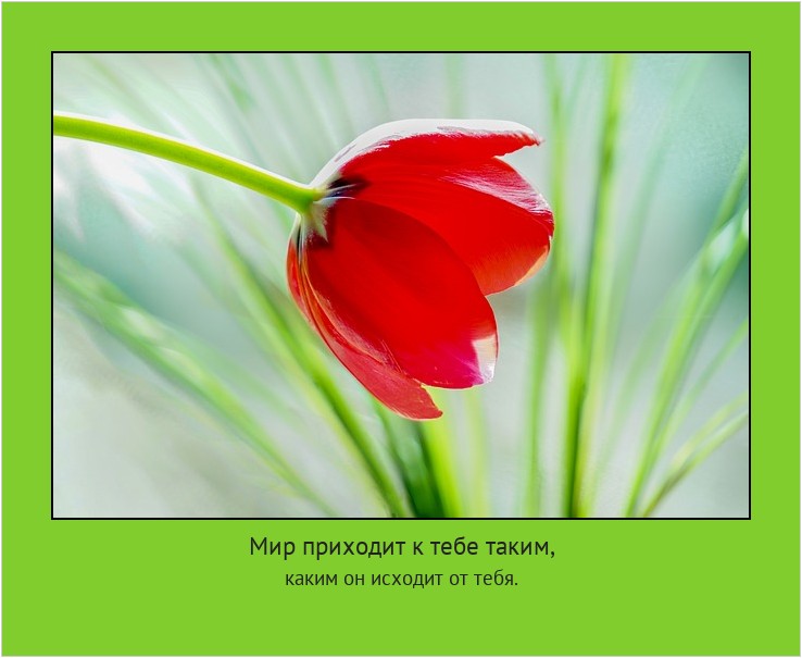 Мир приходит к тебе таким, каким он исходит от тебя. #мотиватор