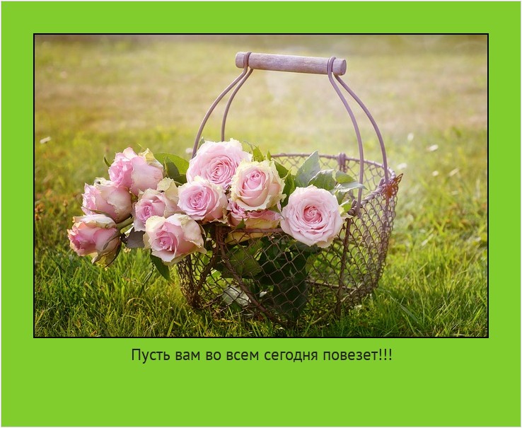 Пусть вам во всем сегодня повезет!!! #мотиватор