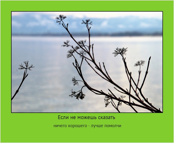 Если не можешь сказать ничего хорошего - лучше помолчи #мотиватор