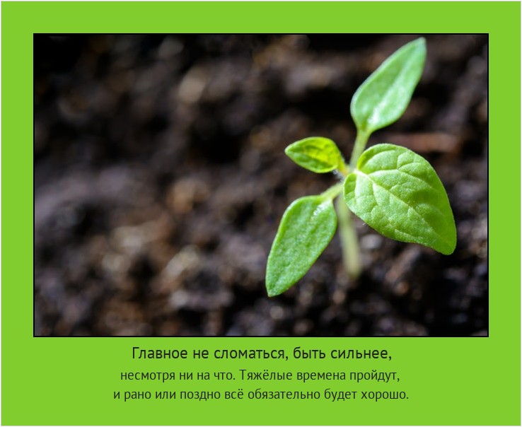 Главное не сломаться, быть сильнее, несмотря ни на что. Тяжёлые времена пройдут,
и рано или поздно всё обязательно будет хорошо. #мотиватор