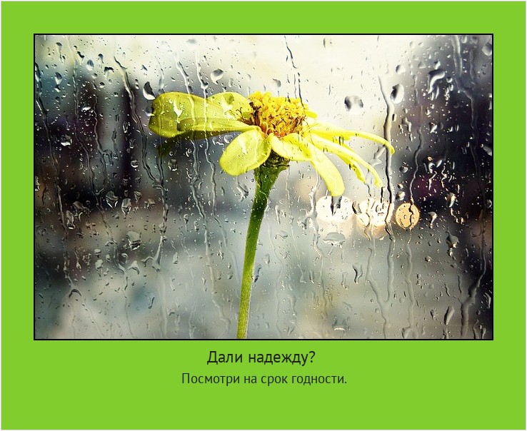 Дали надежду? Посмотри на срок годности. #мотиватор