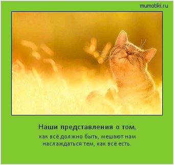 Наши представления о том, как всё должно быть, мешают нам наслаждаться тем, как всё есть. #мотиватор