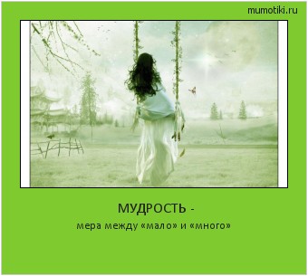 МУДРОСТЬ - мера между «мало» и «много» Cамые лучшие мотиваторы на mumotiki.ru МУДРОСТЬ - мера между «мало» и «много» #мотиватор