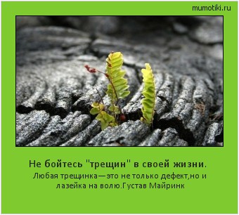 Не бойтесь Не бойтесь