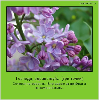 Господи, здравствуй… (три точки) Хочется поговорить...Благодарю за денёчки и за желание жить... #мотиватор