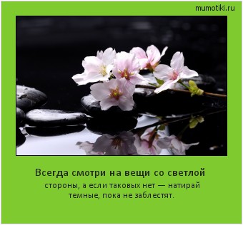Всегда смотри на вещи со светлой стороны, а если таковых нет — натирай темные, пока не заблестят. #мотиватор