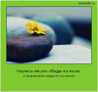 Научись писать обиды на песке и гравировать радости на камне. #мотиватор