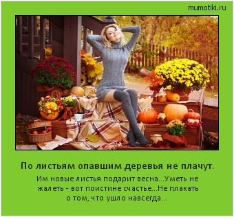 По листьям опавшим деревья не плачут. Им новые листья подарит весна...Уметь не жалеть - вот поистине счастье...Не плакать о том, что ушло навсегда... Cамые лучшие мотиваторы на mumotiki.ru По листьям опавшим деревья не плачут. Им новые листья подарит весна...Уметь не жалеть - вот поистине счастье...Не плакать о том, что ушло навсегда... #мотиватор