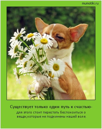 Существует только один путь к счастью- для этого стоит перестать беспокоиться о вещах,
которые не подчинены нашей воле. #мотиватор