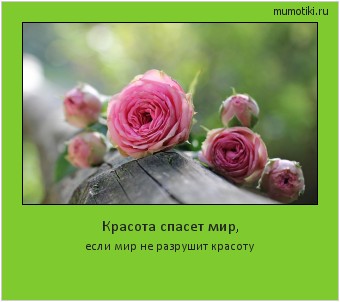 Красота спасет мир, если мир не разрушит красоту #мотиватор