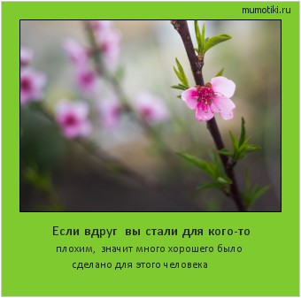 Если вдруг вы стали для кого-то плохим, значит много хорошего было сделано для этого человека #мотиватор