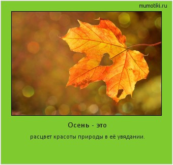 Осень - это расцвет красоты природы в её увядании. #мотиватор