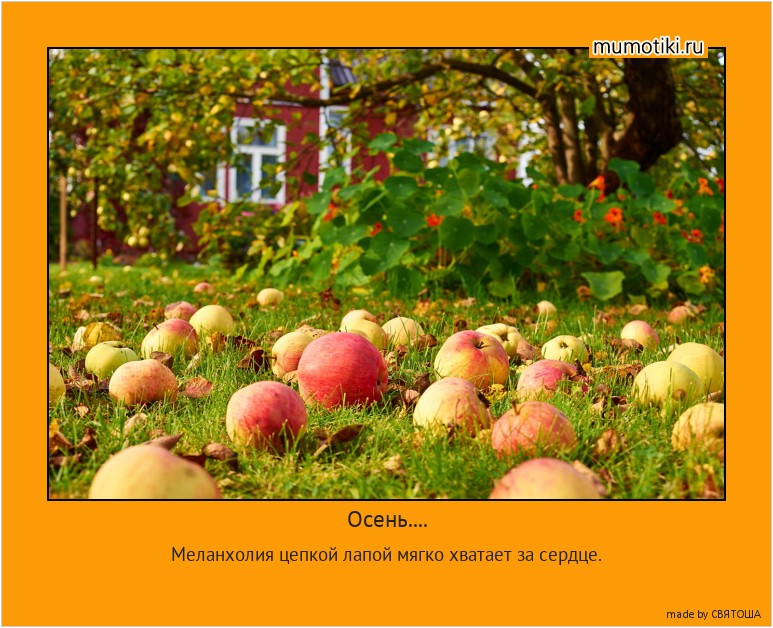 Осень.... Меланхолия цепкой лапой мягко хватает за сердце. #мотиватор